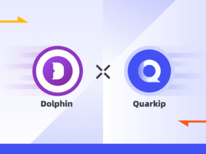 How to Set Up a Dolphin{anty} Proxy With QuarkIP