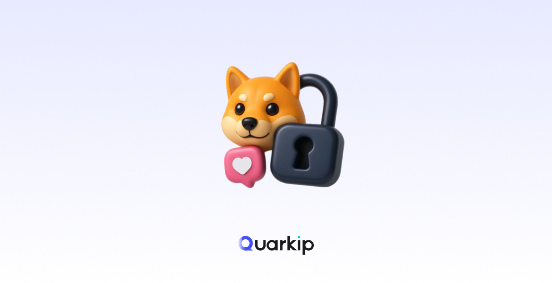 Doge Proxy 2026 Guide: How to Access Doge Websites Safely